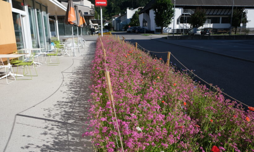 Artenvielfalt am Betriebsgelände Artenvielfalt am Betriebsgelände